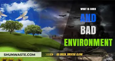 Exploring the Impact: What Defines a Good vs. Bad Environment