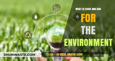 Eco-Friendly Choices vs. Harmful Habits: Impacting Our Environment Daily