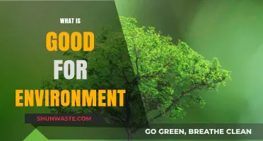Sustainable Living: Eco-Friendly Practices to Protect Our Planet