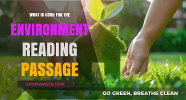 Eco-Friendly Habits: Unlocking Environmental Benefits Through Informative Reading