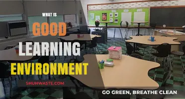 Creating Optimal Learning Environments: Key Factors for Success and Growth