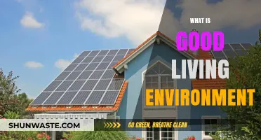 Creating a Healthy, Sustainable, and Harmonious Living Environment for All