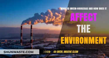 Understanding Greenhouse Gases: Environmental Impact and Climate Change Explained