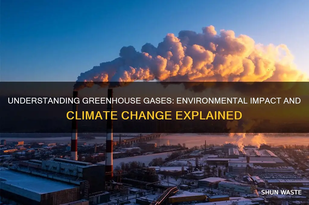 what is green-housegas and how does it affect the environment