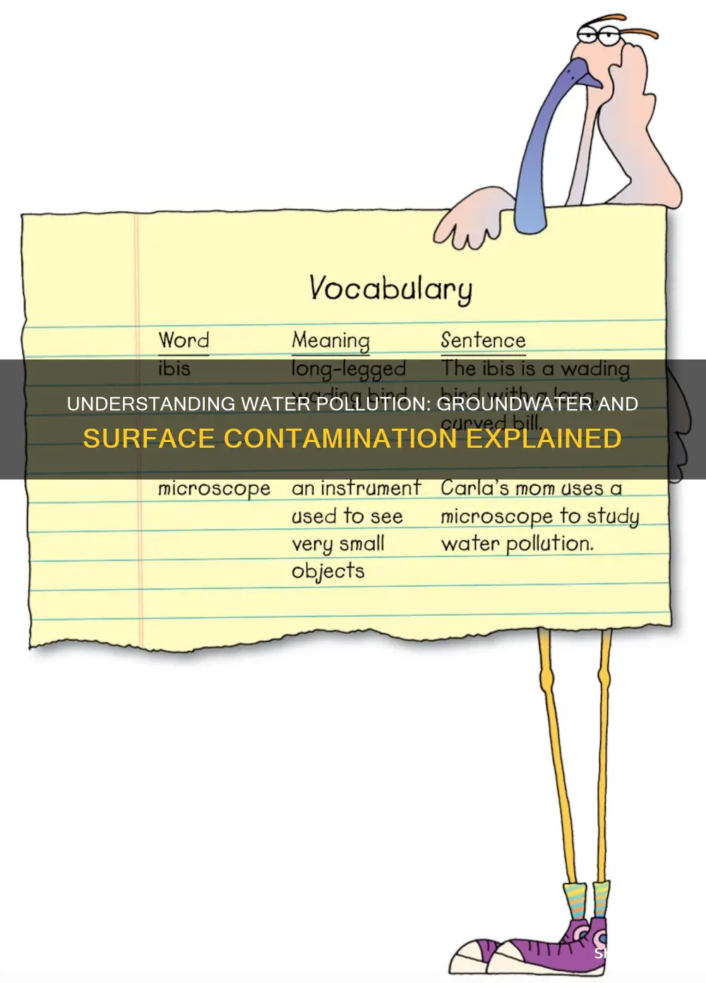 what is groundwater and surface water pollution