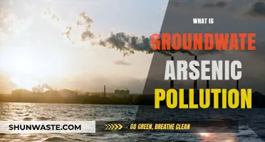 Groundwater Arsenic Pollution: A Global Health Crisis