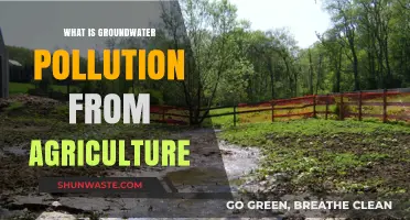 Agricultural Groundwater Pollution: Understanding the Threat
