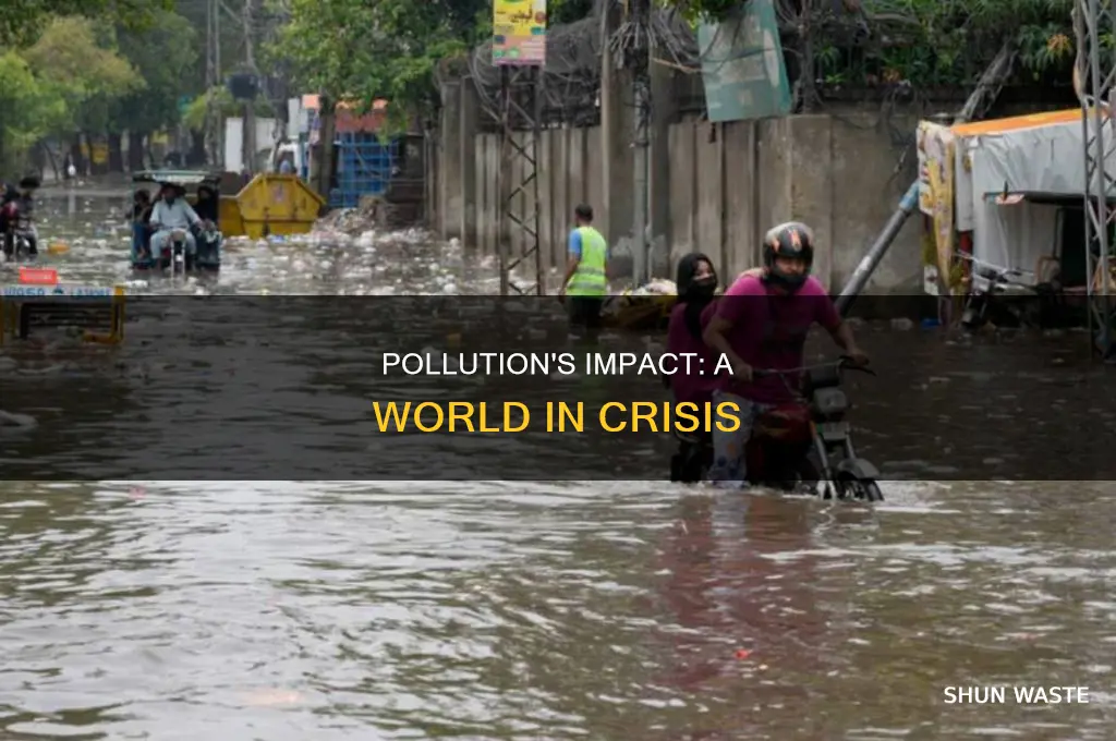 what is happening because of pollution