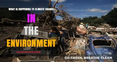 Climate Change Crisis: Environmental Impacts, Trends, and Urgent Solutions