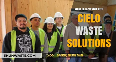 Cielo Waste Solutions: Latest Developments and Future Prospects Explored