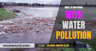 The Alarming State of Water Pollution: A Global Crisis