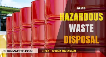 Safeguarding the Environment: A Guide to Hazardous Waste Disposal