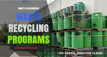 Revamping Recycling: Understanding Hazardous Waste Programs for a Greener Future