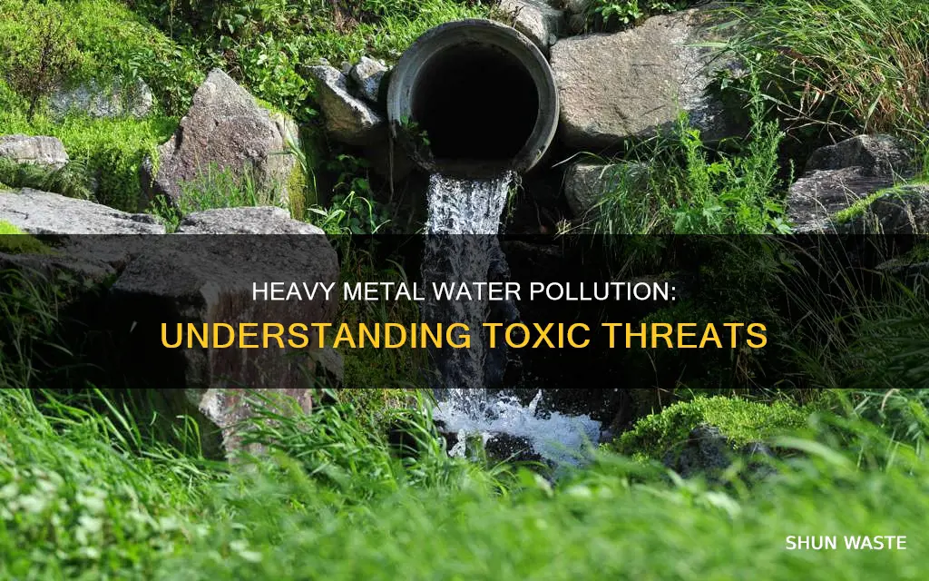 what is heavy metal pollution in water