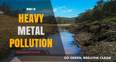 Heavy Metal Pollution: A Growing Environmental Concern