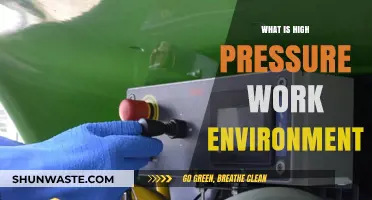 High Pressure Work Environments: Causes, Effects, and Coping Strategies
