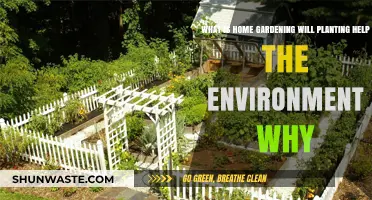 Home Gardening: Planting for a Greener, Healthier Environment