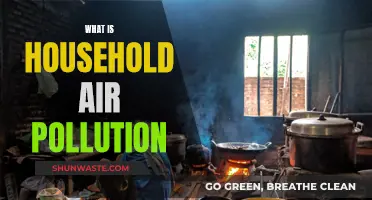 Air Pollution at Home: What's the Danger?