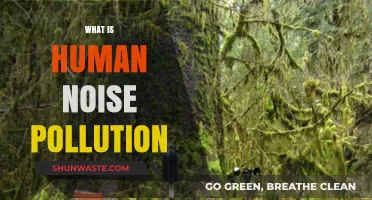 Human Noise Pollution: Understanding the Disturbing Soundscape
