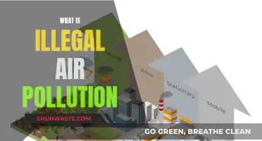 Air Pollution: What's Legal and What's Not?