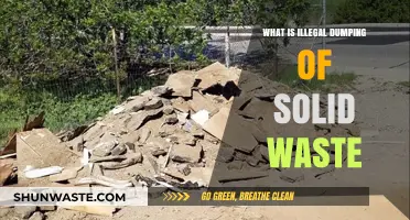 Understanding the Environmental Impact of Illegal Solid Waste Dumping