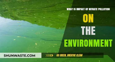 Nitrate Pollution: Environmental Consequences and Ecosystem Threats Explained
