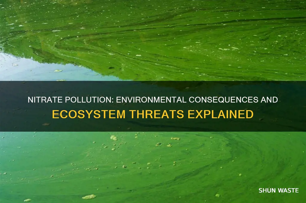 what is impact of nitrate pollution on the environment