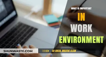 Creating a Productive Work Environment: Key Factors for Success and Satisfaction