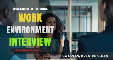 Key Factors to Highlight in a Work Environment Interview