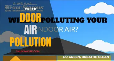 Air Quality Alert: Indoor Air Pollution Hazards