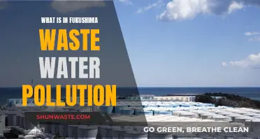 Unveiling Fukushima's Contaminated Waters: A Complex Environmental Challenge