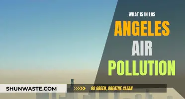 Los Angeles Air Pollution: What's in the Air?