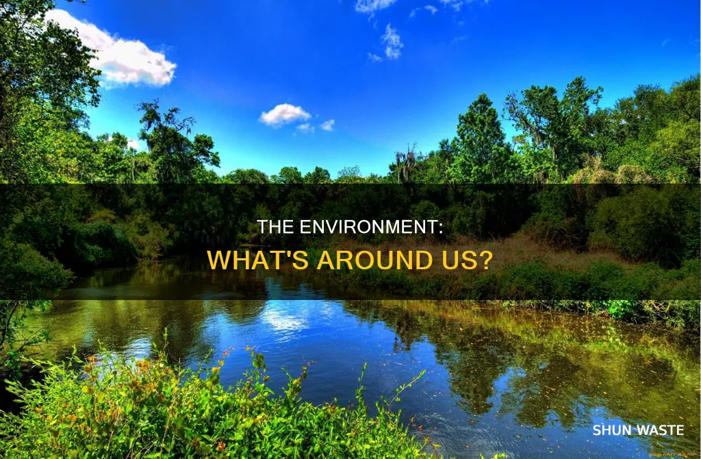 what is in the environment