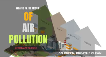Air Pollution: A Toxic Mixture
