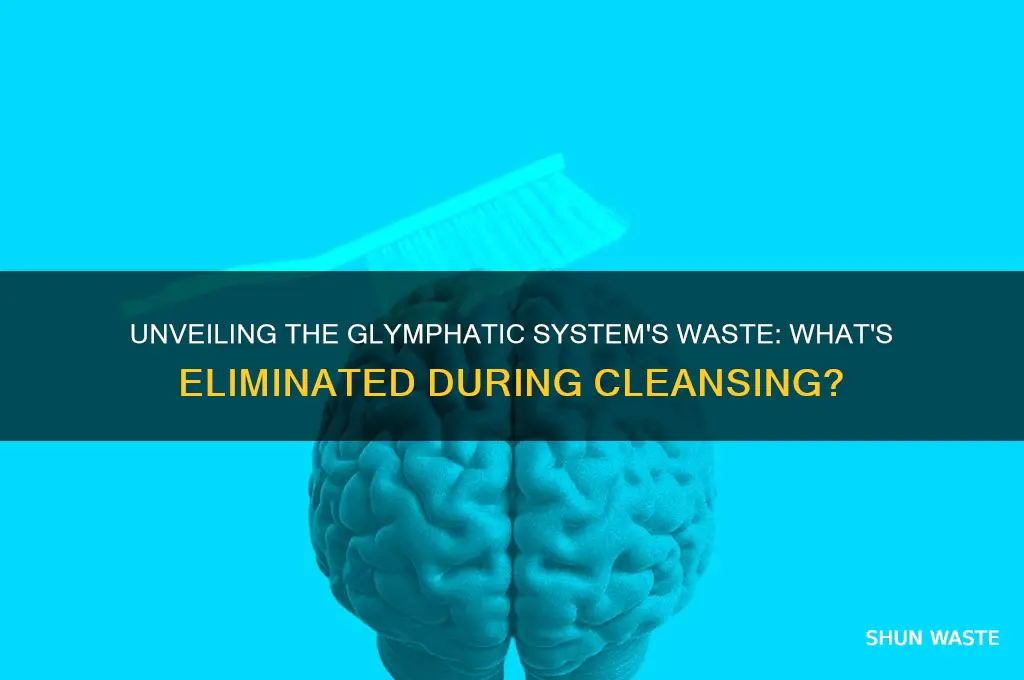 what is in the waste eliminated by the glymphatic system