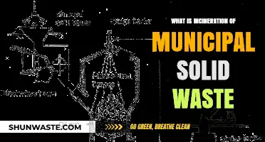 Incineration of Municipal Solid Waste: Process, Benefits, and Environmental Impact