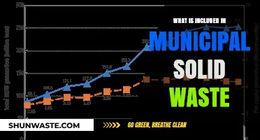 Understanding Municipal Solid Waste: Components and Common Inclusions Explained