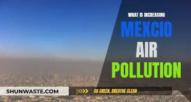 Mexico's Air Pollution Crisis: Reasons and Solutions