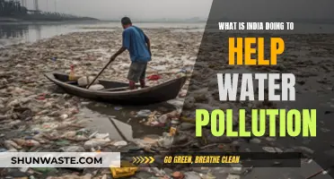 India's Water Warriors: Strategies to Combat Pollution