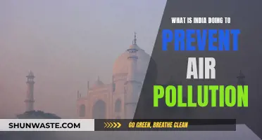 India's Fight Against Air Pollution