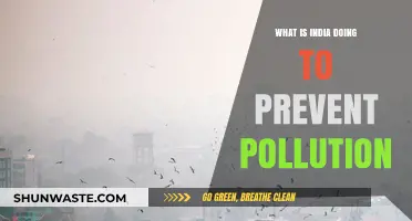 India's Fight Against Pollution: Strategies and Initiatives