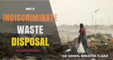 The Hidden Dangers of Indiscriminate Waste Disposal: A Comprehensive Guide