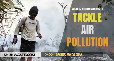 Indonesia's Fight Against Air Pollution