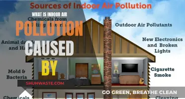 Unveiling the Hidden Causes of Indoor Air Pollution