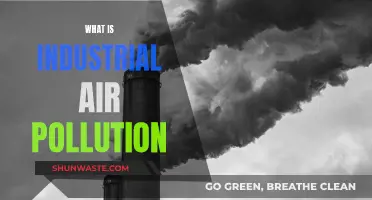 Air Pollution's Industrial Sources and Impacts