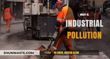 Industrial Pollution: Its Impact and Our Future