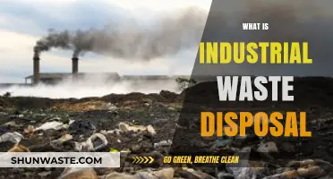Eco-Friendly Solutions: The Ins and Outs of Industrial Waste Disposal