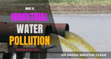 Unveiling the Hidden Dangers: Understanding Industrial Water Pollution