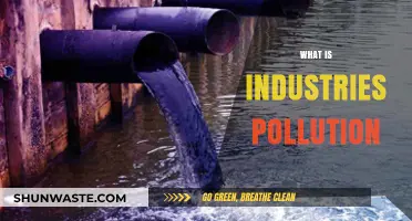 Industrial Pollution: Understanding the Impact and Causes