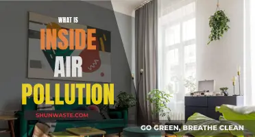 Air Pollution: What's Lurking in Your Home?